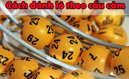 Hướng dẫn cách đánh lô theo đầu câm chuẩn xác nhất