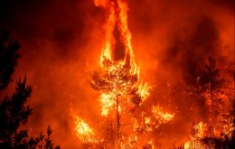 nam-mo-thay-minh-chet-chay-4