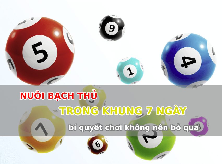Nuôi bạch thủ trong khung 7 ngày bí quyết chơi không nên bỏ qua Nuôi bạch thủ trong khung 7 ngày bí quyết chơi không nên bỏ qua